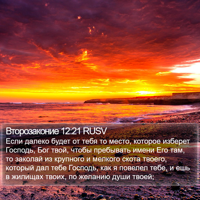 Второзаконие 12:21 RUSV Bible Study