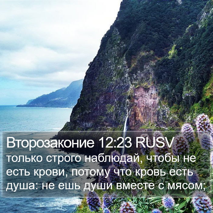 Второзаконие 12:23 RUSV Bible Study