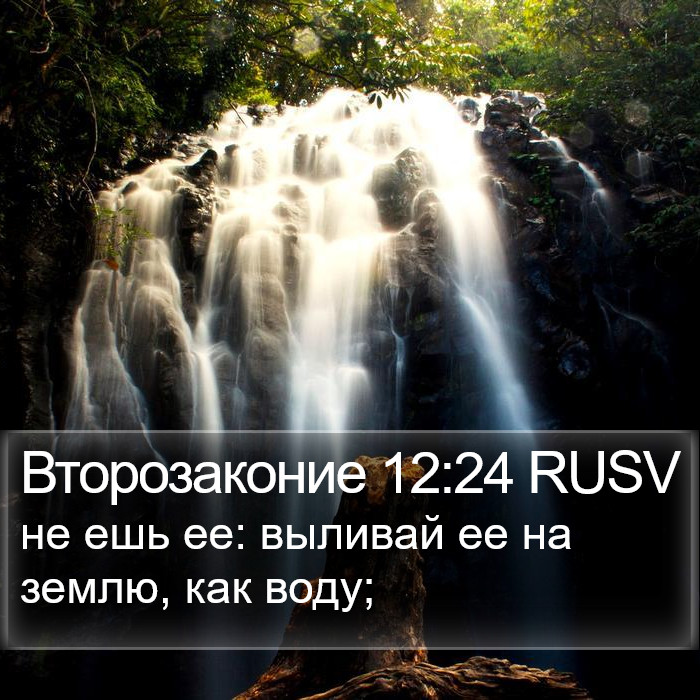 Второзаконие 12:24 RUSV Bible Study