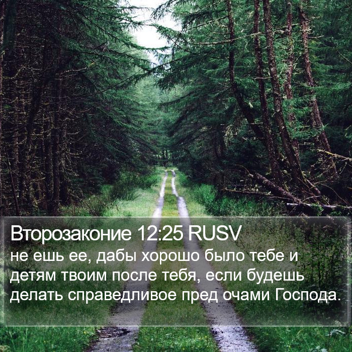 Второзаконие 12:25 RUSV Bible Study