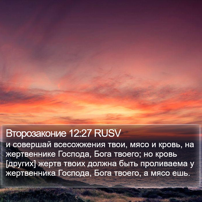 Второзаконие 12:27 RUSV Bible Study