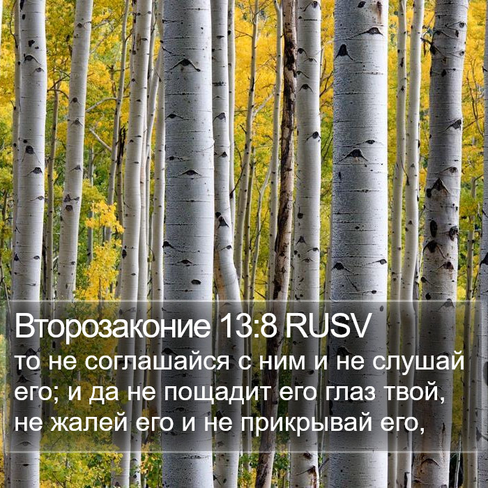 Второзаконие 13:8 RUSV Bible Study