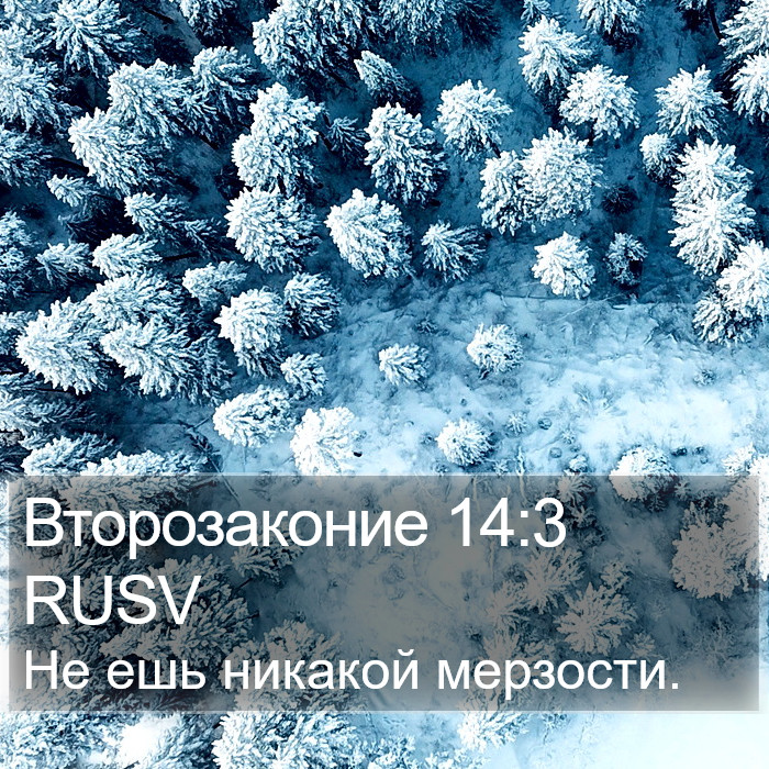 Второзаконие 14:3 RUSV Bible Study