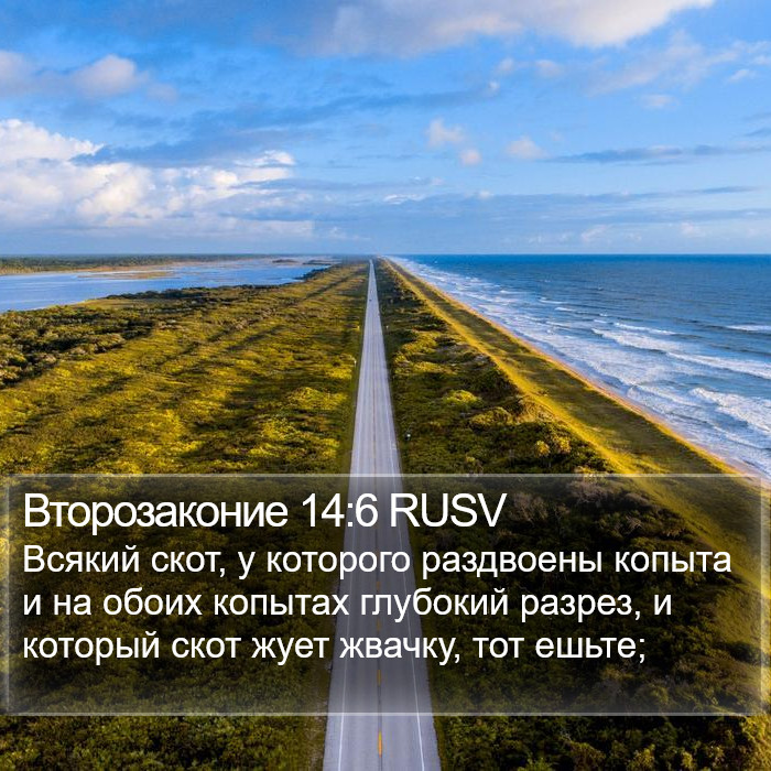 Второзаконие 14:6 RUSV Bible Study