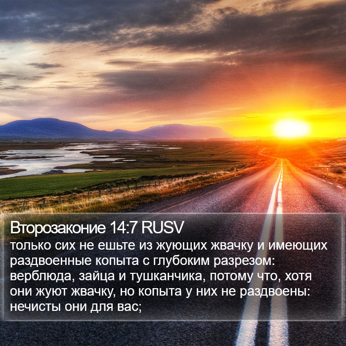 Второзаконие 14:7 RUSV Bible Study