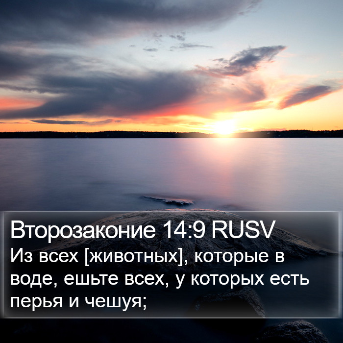 Второзаконие 14:9 RUSV Bible Study