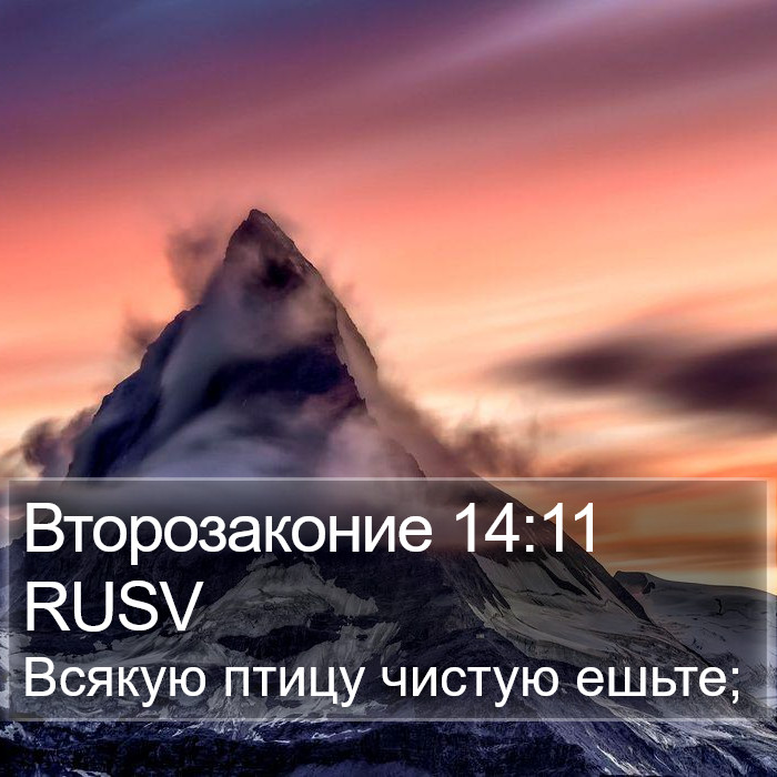 Второзаконие 14:11 RUSV Bible Study