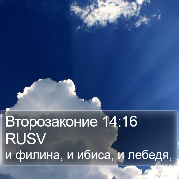 Второзаконие 14:16 RUSV Bible Study