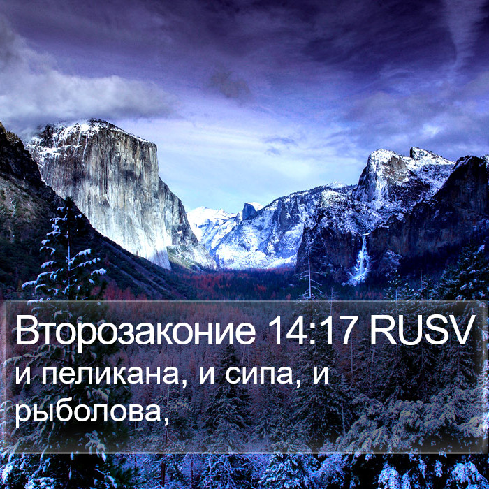 Второзаконие 14:17 RUSV Bible Study