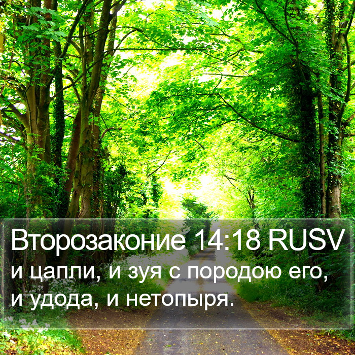 Второзаконие 14:18 RUSV Bible Study