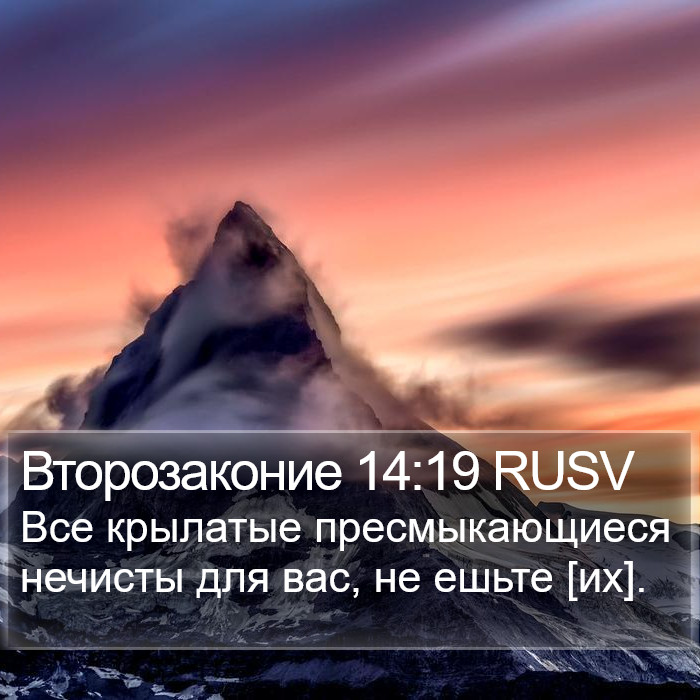 Второзаконие 14:19 RUSV Bible Study