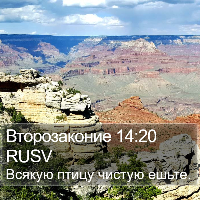 Второзаконие 14:20 RUSV Bible Study