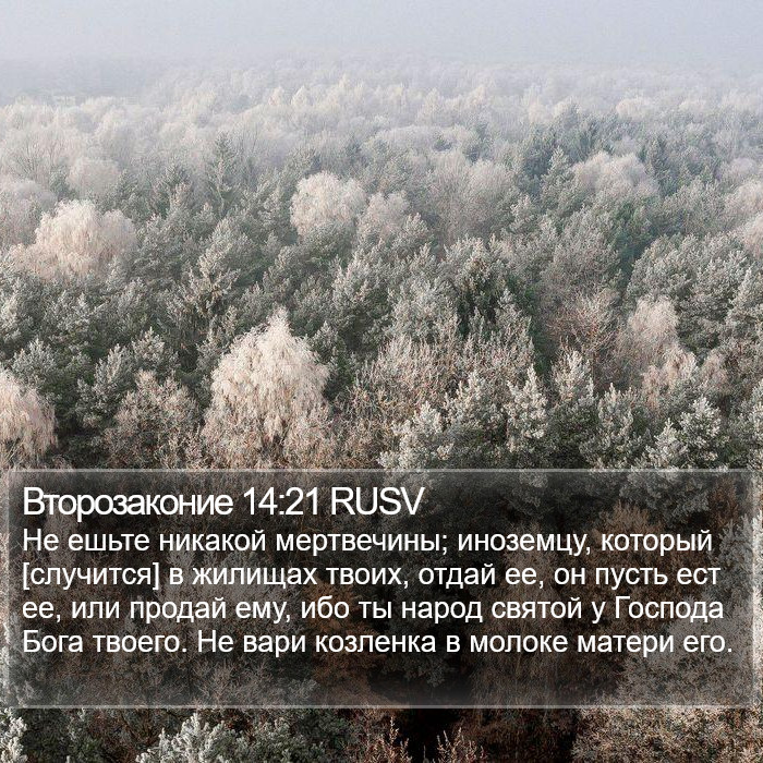 Второзаконие 14:21 RUSV Bible Study