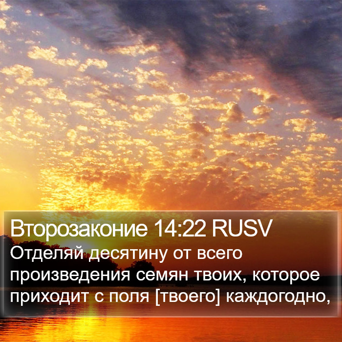 Второзаконие 14:22 RUSV Bible Study