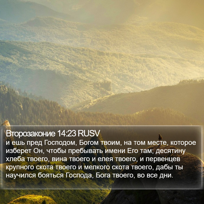 Второзаконие 14:23 RUSV Bible Study