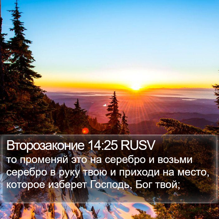 Второзаконие 14:25 RUSV Bible Study