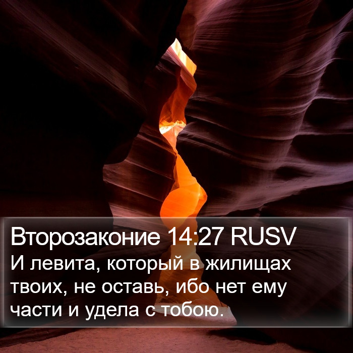 Второзаконие 14:27 RUSV Bible Study