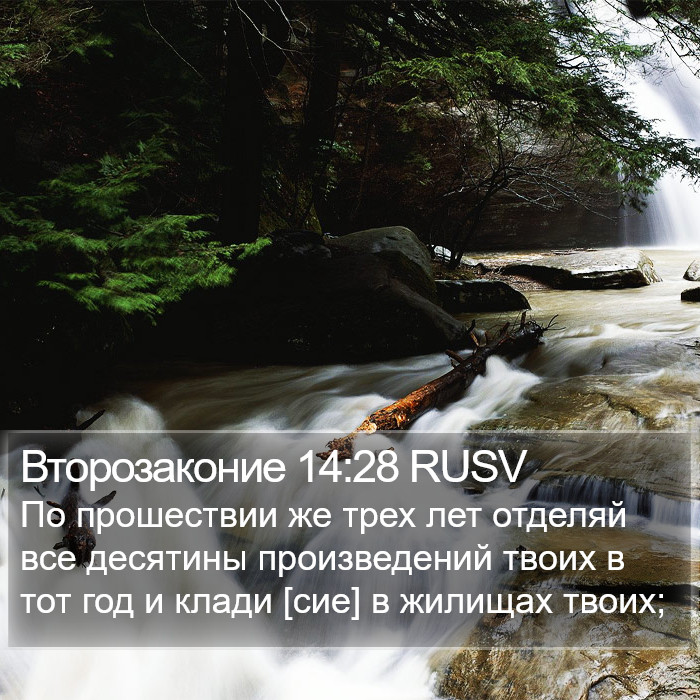 Второзаконие 14:28 RUSV Bible Study