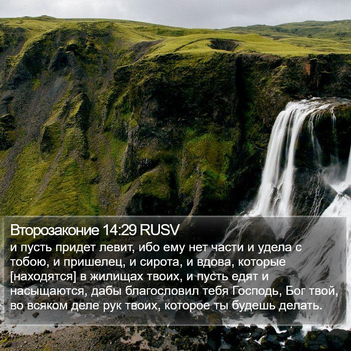 Второзаконие 14:29 RUSV Bible Study