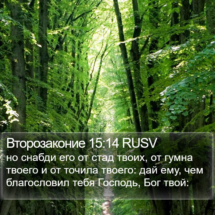 Второзаконие 15:14 RUSV Bible Study