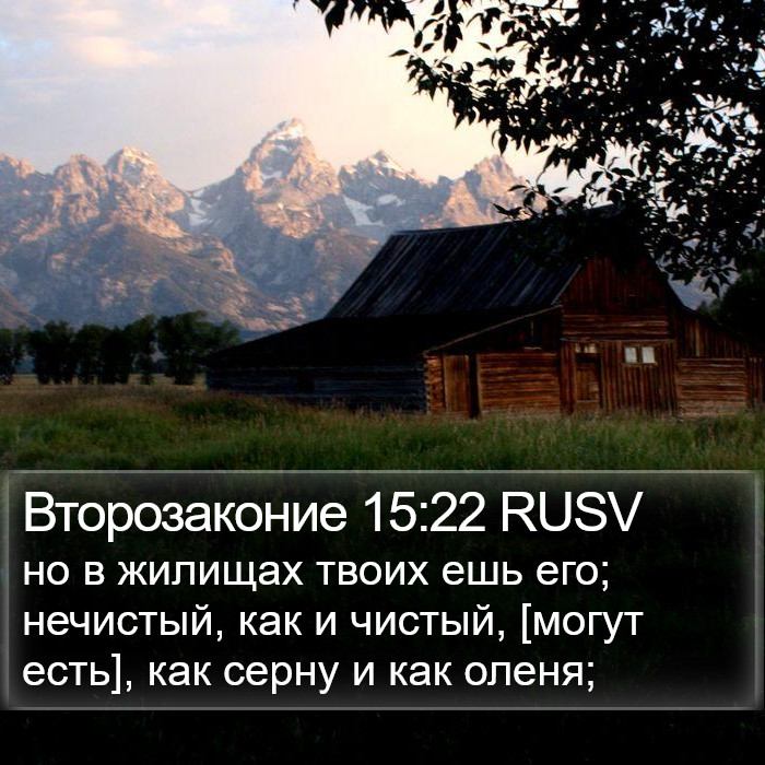 Второзаконие 15:22 RUSV Bible Study