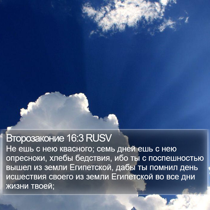 Второзаконие 16:3 RUSV Bible Study