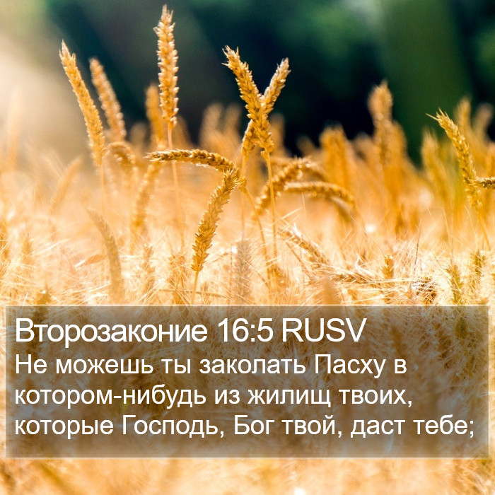 Второзаконие 16:5 RUSV Bible Study