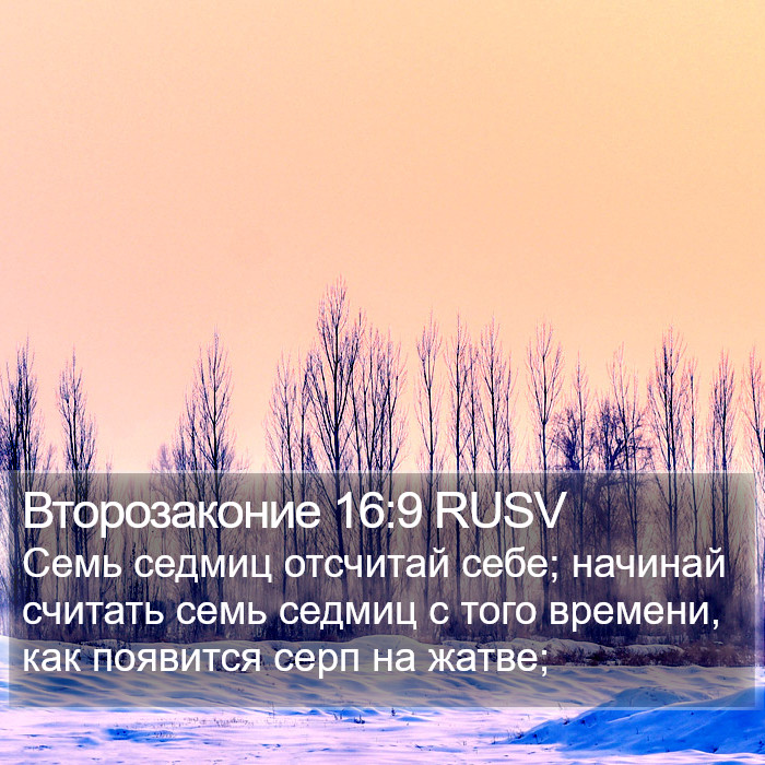 Второзаконие 16:9 RUSV Bible Study