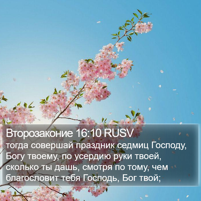 Второзаконие 16:10 RUSV Bible Study