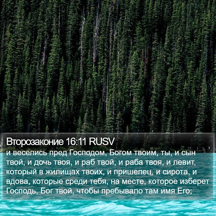 Второзаконие 16:11 RUSV Bible Study