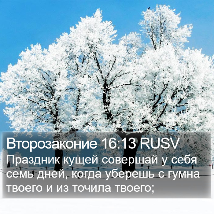 Второзаконие 16:13 RUSV Bible Study