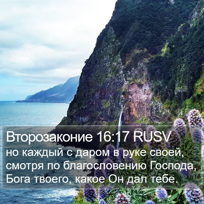 Второзаконие 16:17 RUSV Bible Study