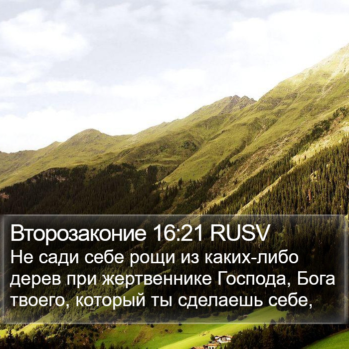 Второзаконие 16:21 RUSV Bible Study