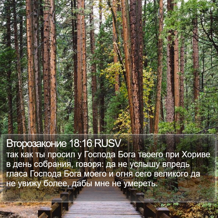 Второзаконие 18:16 RUSV Bible Study