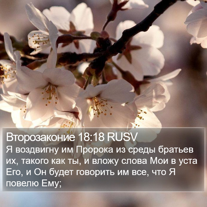 Второзаконие 18:18 RUSV Bible Study