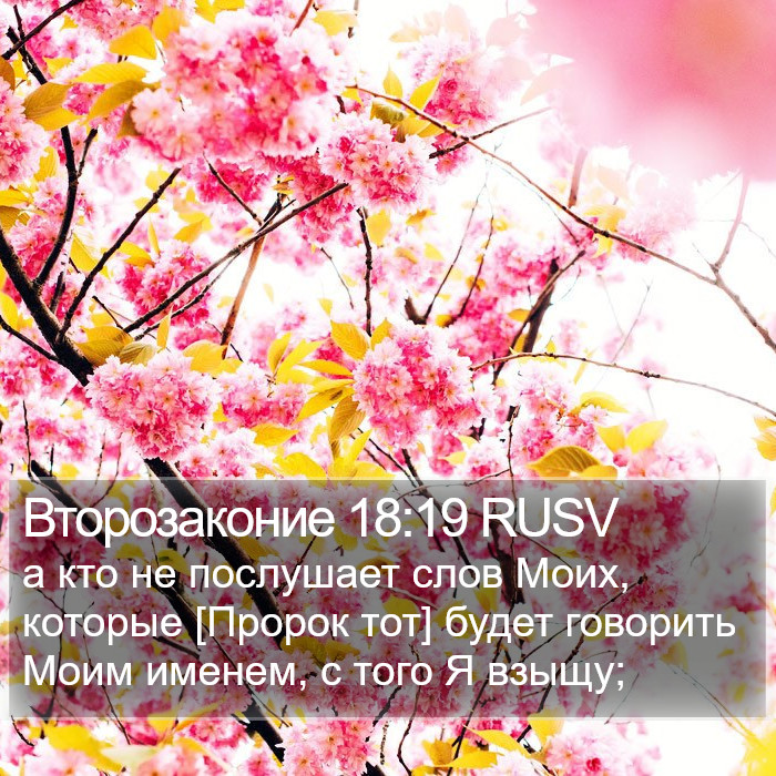 Второзаконие 18:19 RUSV Bible Study