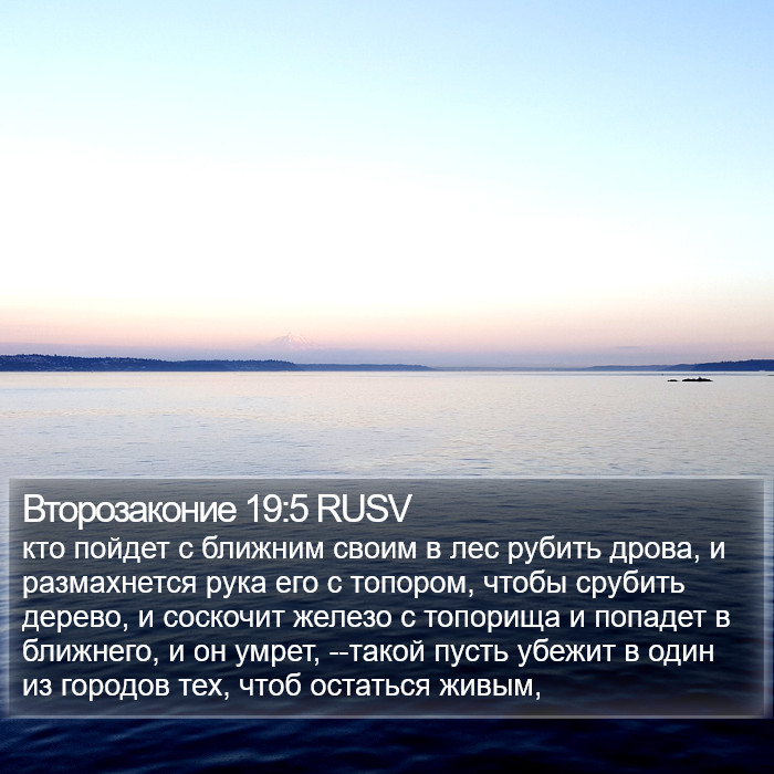 Второзаконие 19:5 RUSV Bible Study