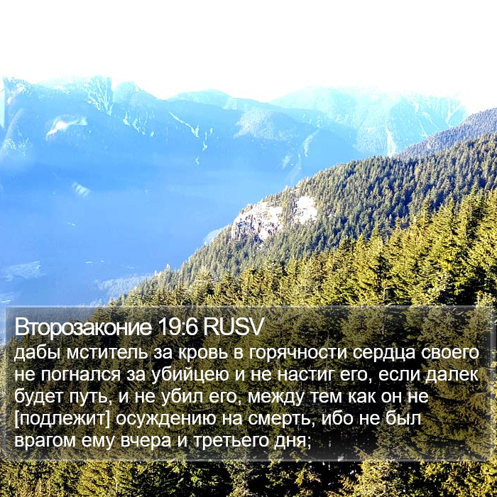 Второзаконие 19:6 RUSV Bible Study