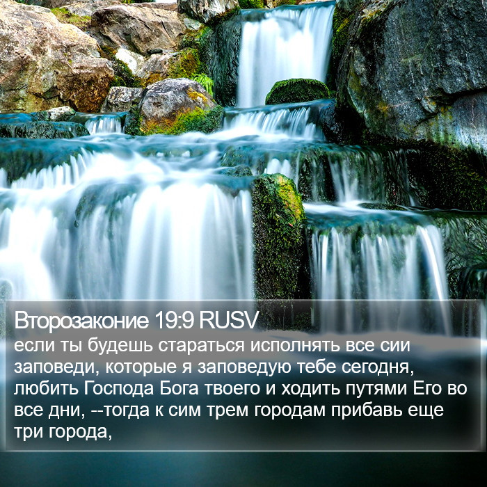 Второзаконие 19:9 RUSV Bible Study