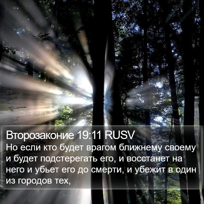 Второзаконие 19:11 RUSV Bible Study