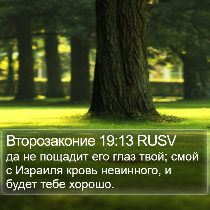 Второзаконие 19:13 RUSV Bible Study