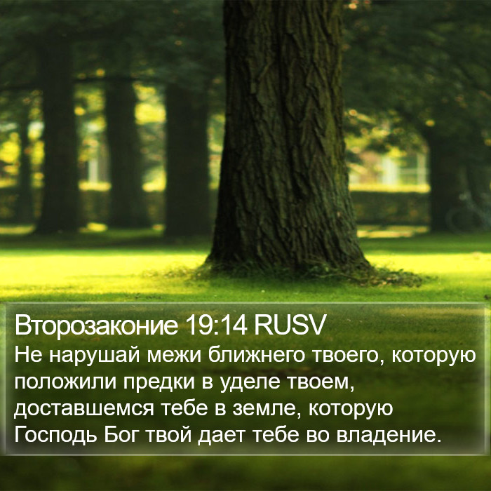 Второзаконие 19:14 RUSV Bible Study