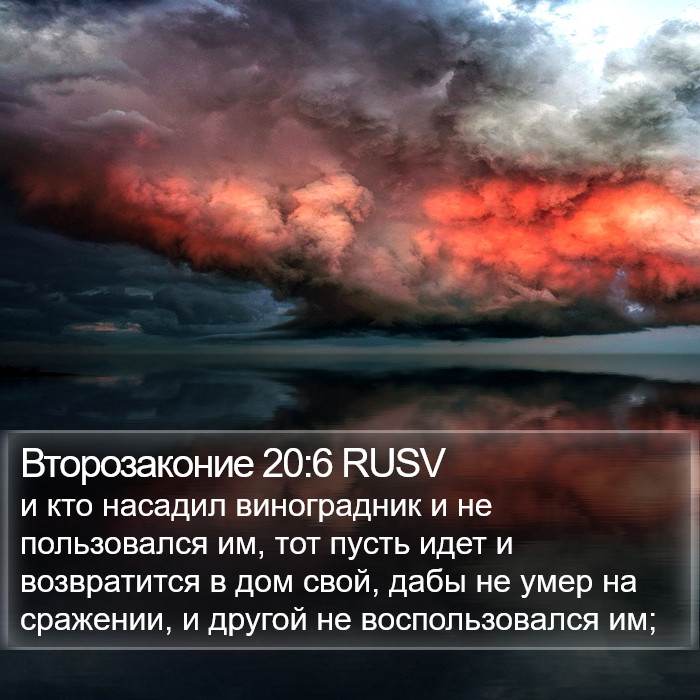 Второзаконие 20:6 RUSV Bible Study