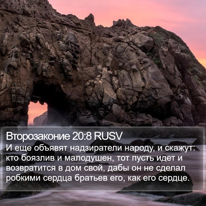 Второзаконие 20:8 RUSV Bible Study