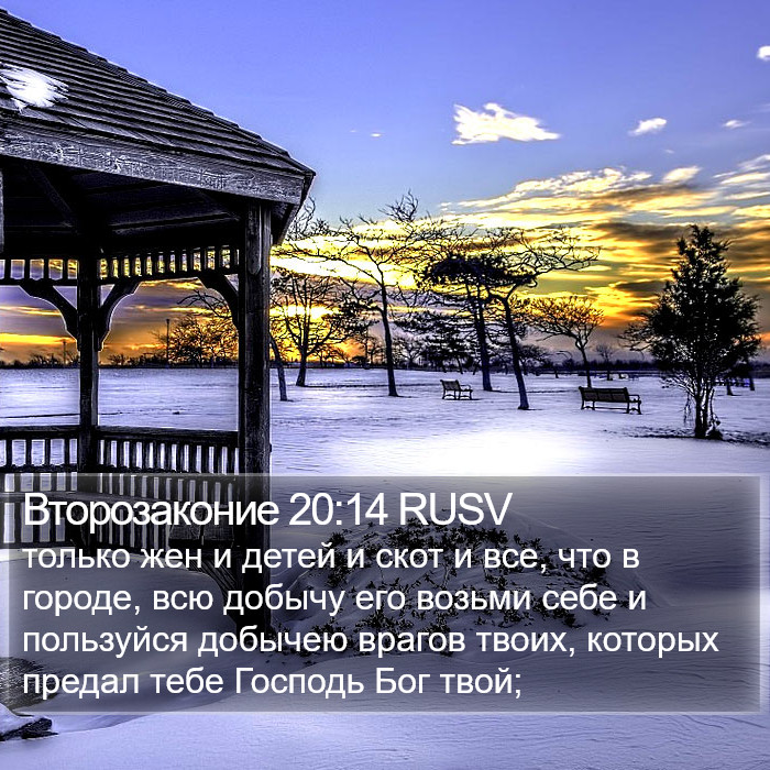 Второзаконие 20:14 RUSV Bible Study