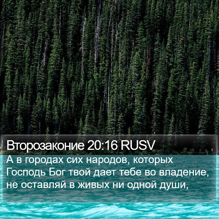 Второзаконие 20:16 RUSV Bible Study