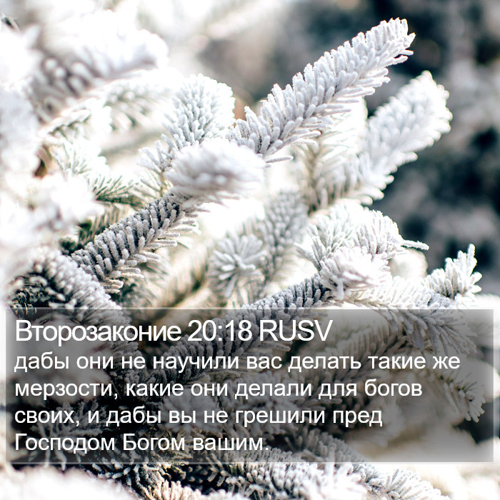 Второзаконие 20:18 RUSV Bible Study