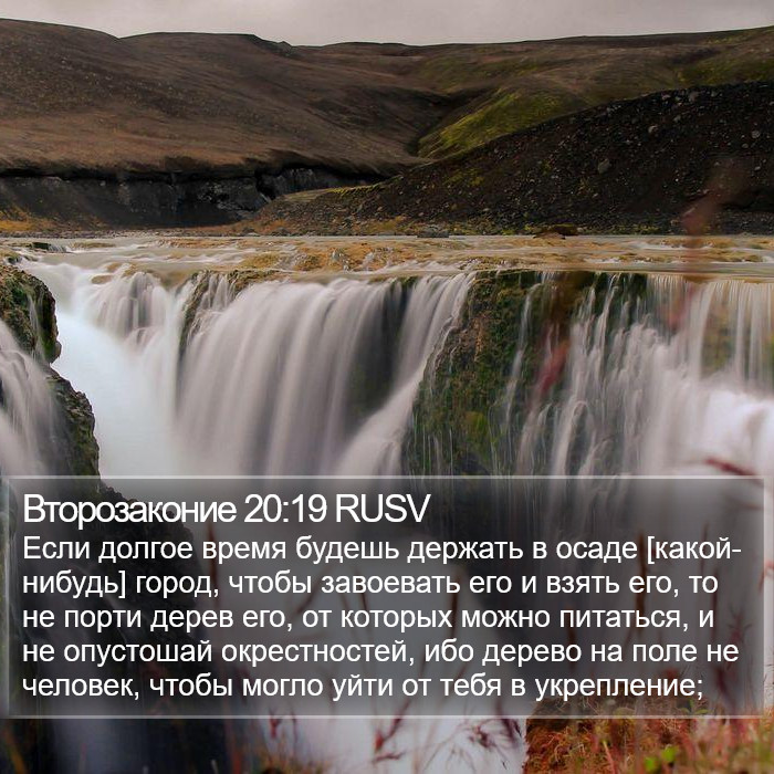 Второзаконие 20:19 RUSV Bible Study