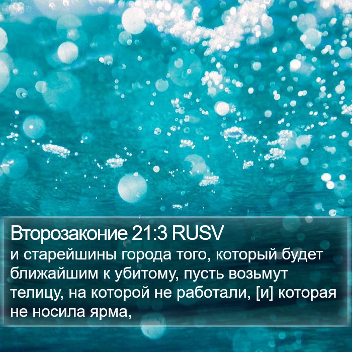 Второзаконие 21:3 RUSV Bible Study