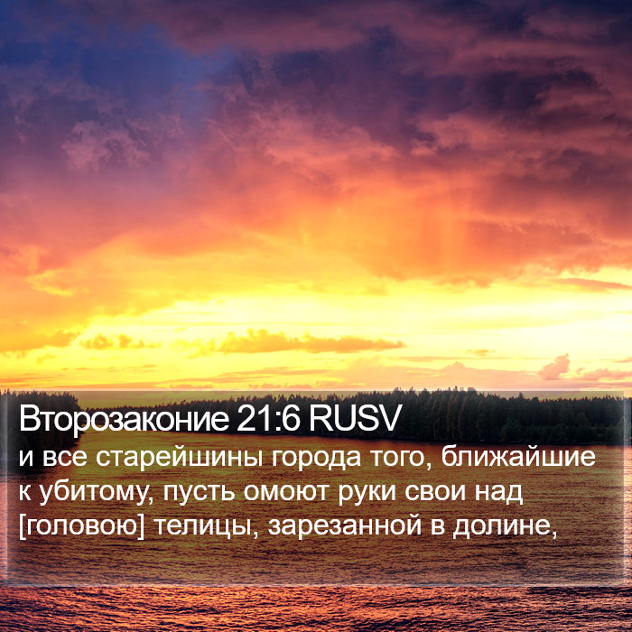 Второзаконие 21:6 RUSV Bible Study